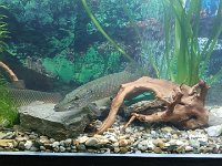 Ve vodě nežijí jen vodníci (5)